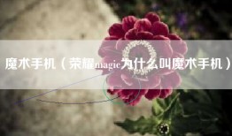 魔术手机（荣耀magic为什么叫魔术手机）