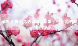 苹果手机怎么去除id（苹果手机怎么去除id帐号）