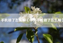 手机锁了怎么解（华为手机锁了怎么解）