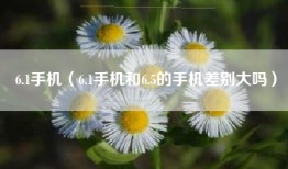 6.1手机（6.1手机和6.5的手机差别大吗）