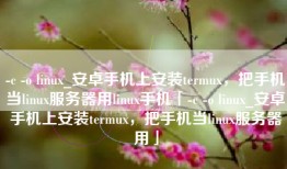 -c -o linux_安卓手机上安装termux，把手机当linux服务器用linux手机「-c -o linux_安卓手机上安装termux，把手机当linux服务器用」