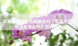 苹果手机打电话能录音吗（苹果手机打电话能录音吗？怎样操作）