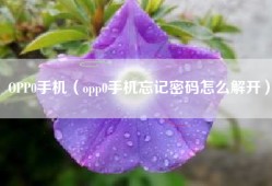 OPP0手机（opp0手机忘记密码怎么解开）