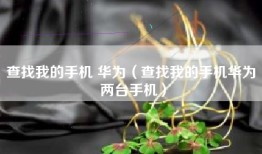 查找我的手机 华为（查找我的手机华为 两台手机）