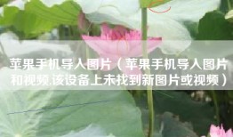 苹果手机导入图片（苹果手机导入图片和视频,该设备上未找到新图片或视频）