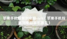 苹果手机投屏到电脑win10（苹果手机投屏到电脑显示器上）