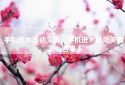 手机进水自动关机（手机进水自动关机怎么回事）