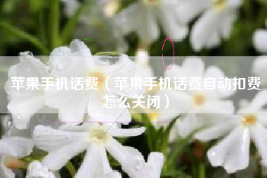 苹果手机话费（苹果手机话费自动扣费怎么关闭）