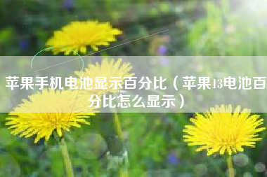 苹果手机电池显示百分比（苹果13电池百分比怎么显示）