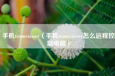 手机teamviewer（手机teamviewer怎么远程控制电脑）