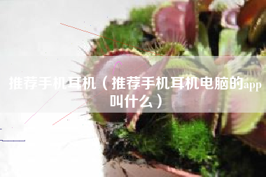 推荐手机耳机（推荐手机耳机电脑的app叫什么）