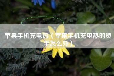 苹果手机充电热（苹果手机充电热的烫手怎么办）