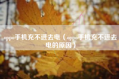 oppo手机充不进去电（oppo手机充不进去电的原因）