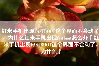 红米手机出现FASTBOOT这个界面不会动了，为什么红米手机出现fastboot怎么办「红米手机出现FASTBOOT这个界面不会动了，为什么」